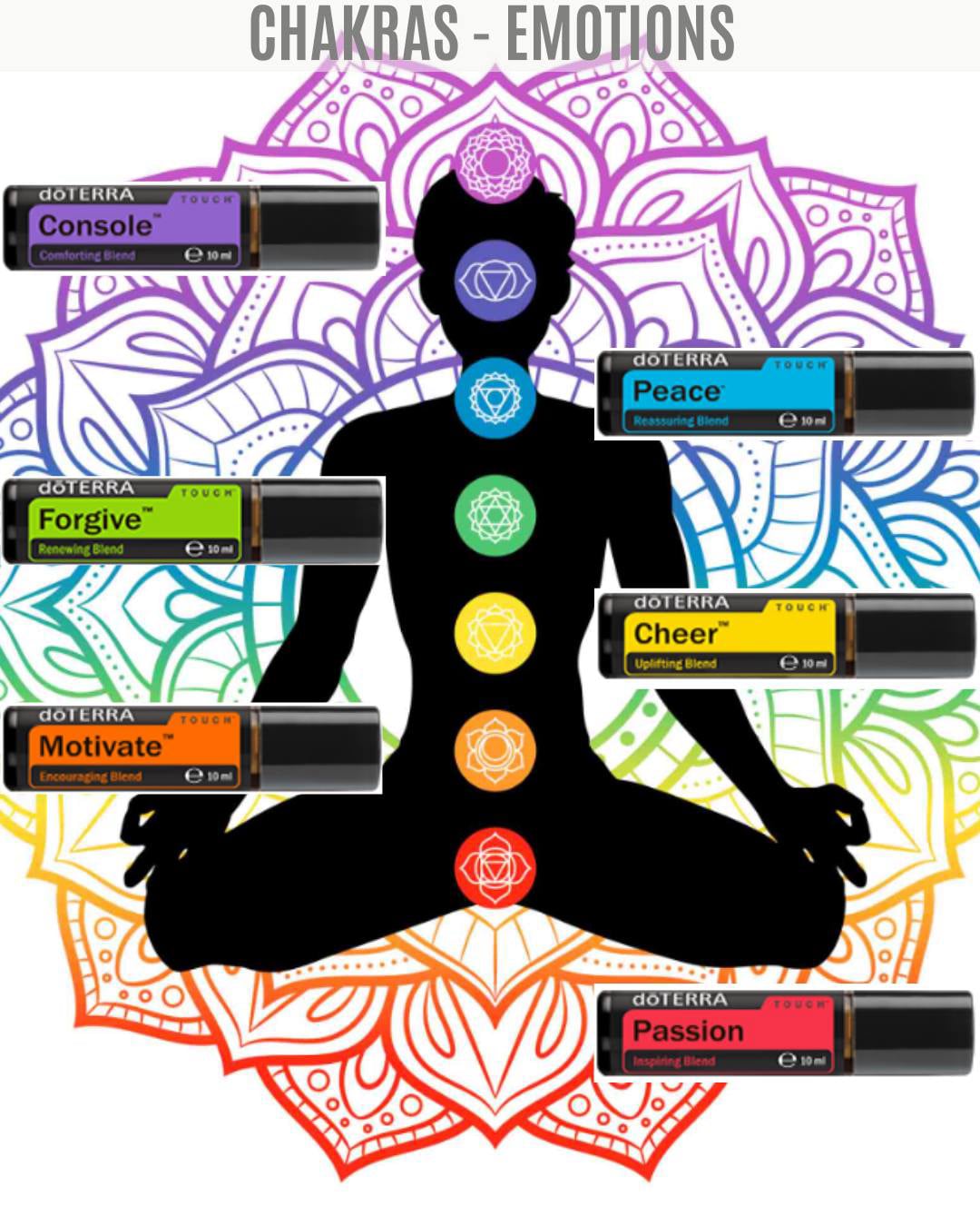 Vinyasa yoga	Waterloo	Asana studio